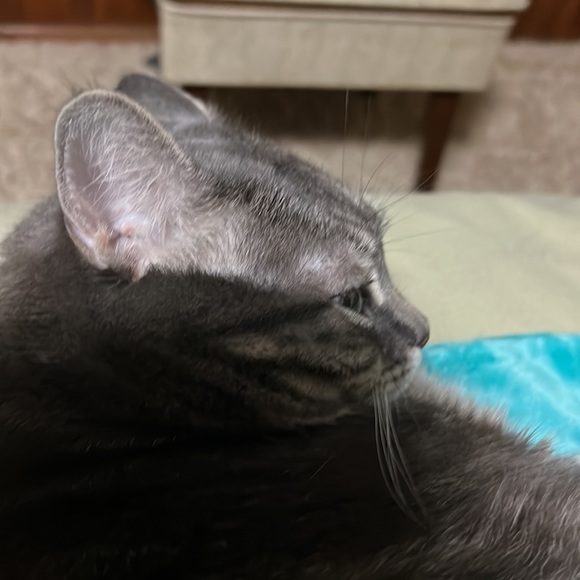 Meet your Posher, O - Picture 1 of 1